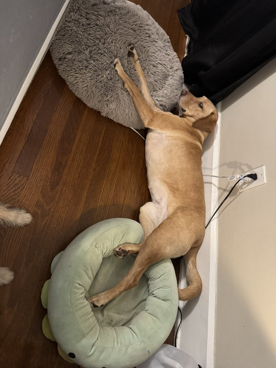 remy 📸🏳️‍⚧️🎗️ tweet media