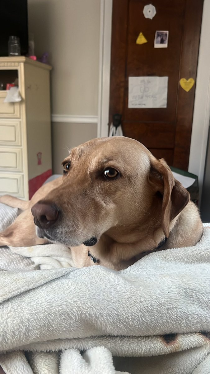 remy 📸🏳️‍⚧️🎗️ tweet media