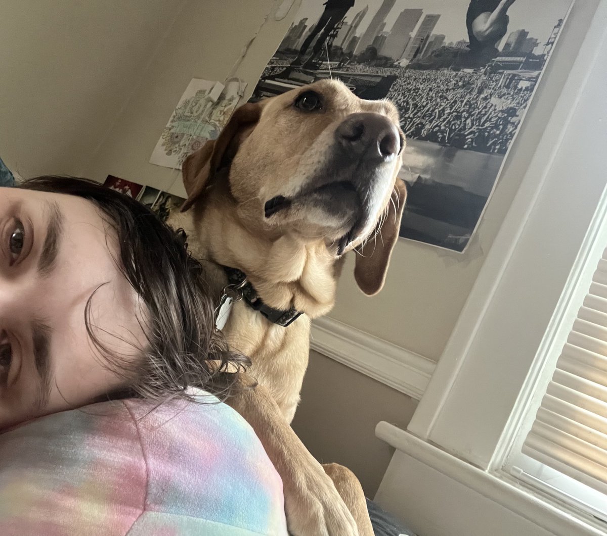 remy 📸🏳️‍⚧️🎗️ tweet media