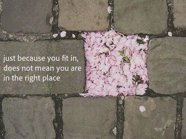 🍂 (@lovandfear) on Twitter photo 