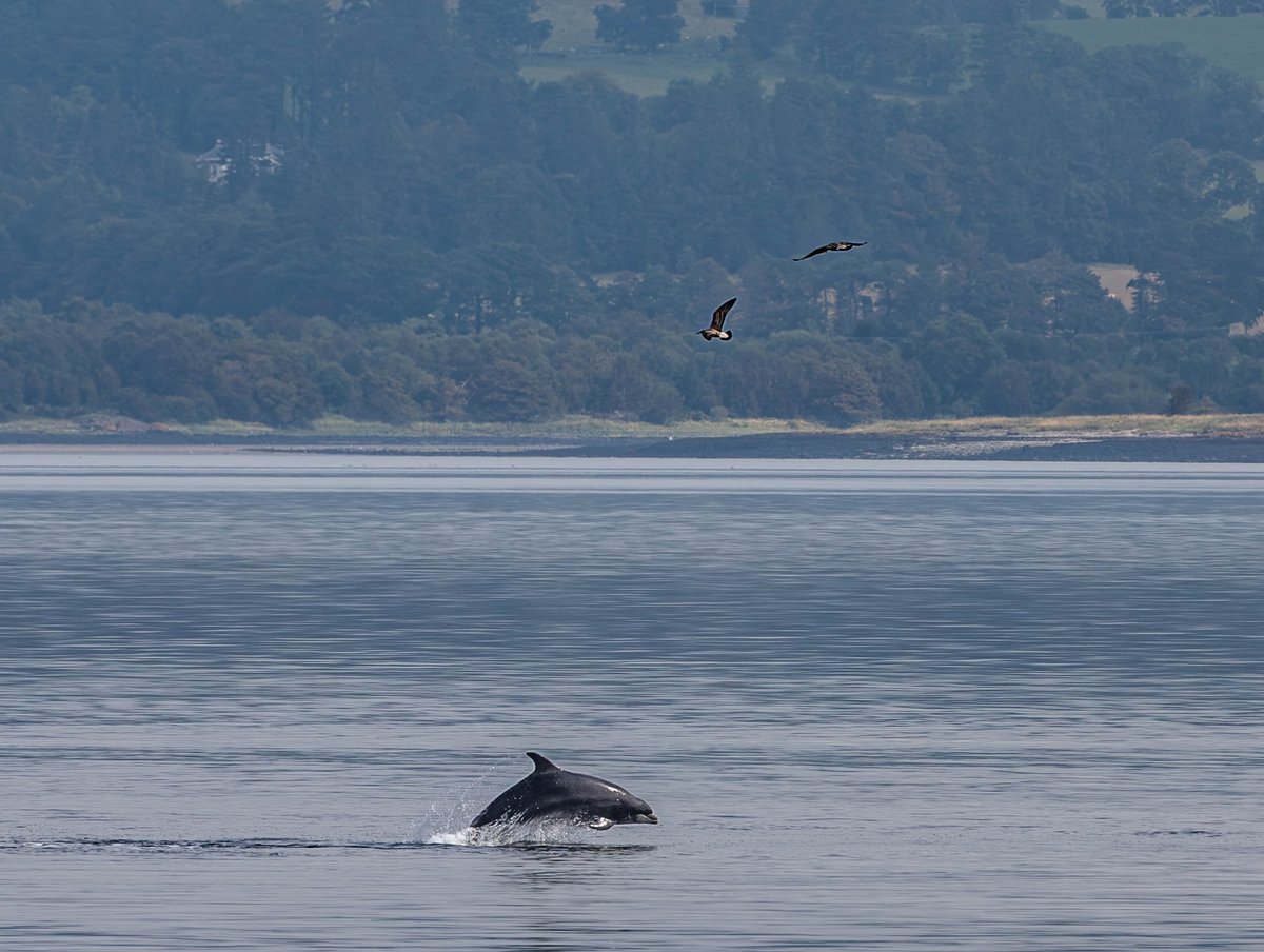 Paul Paterson tweet media