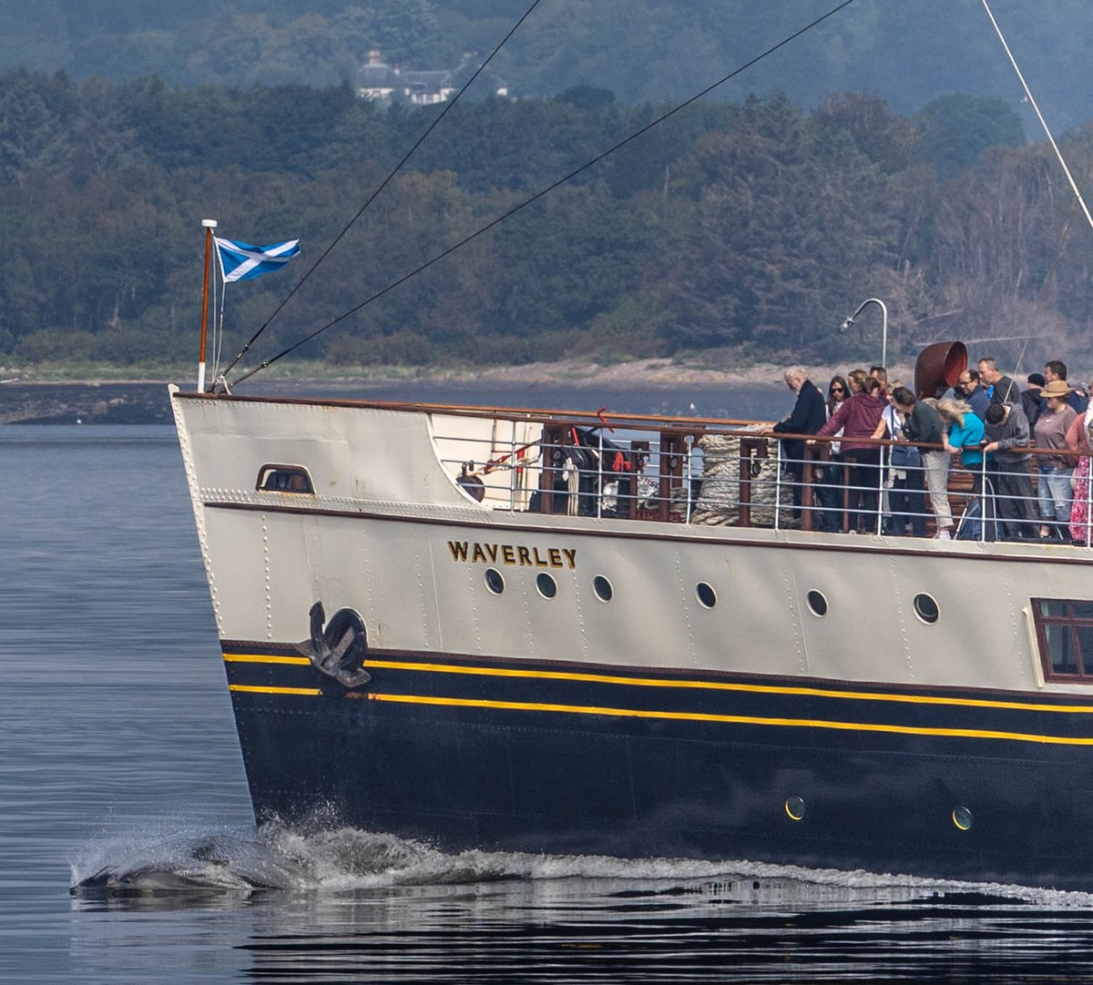 Paul Paterson tweet media