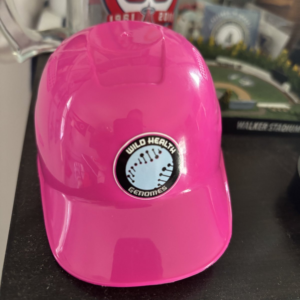 Minor League Promos tweet media