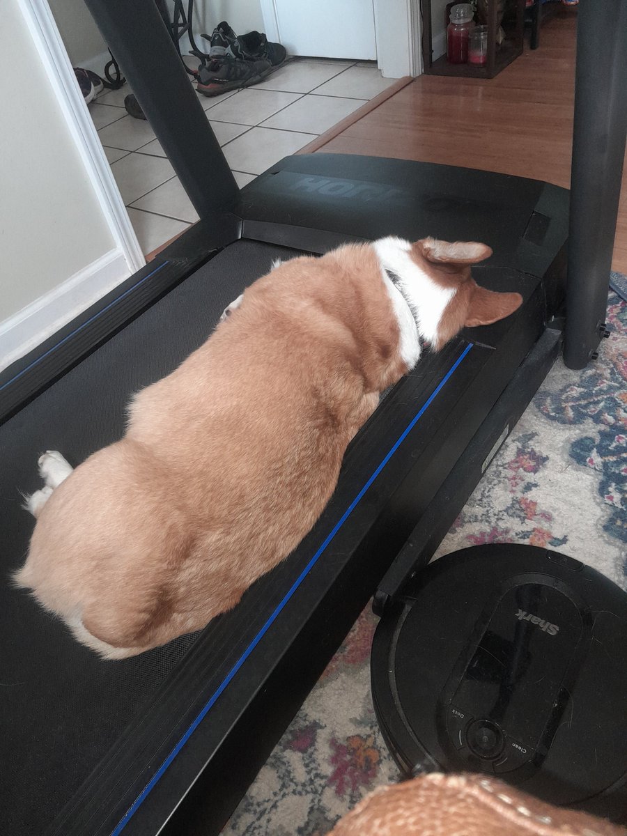 ItsPaych tweet media