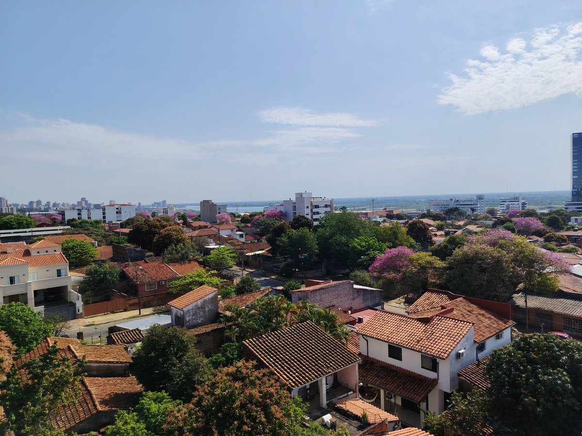 capegalarza's tweet photo. Asunción florido https://t.co/I6egcpss6n