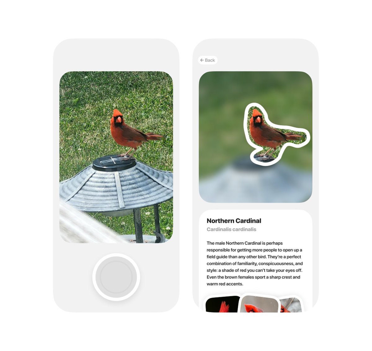 Armond Schneider (@armondme) on Twitter photo 