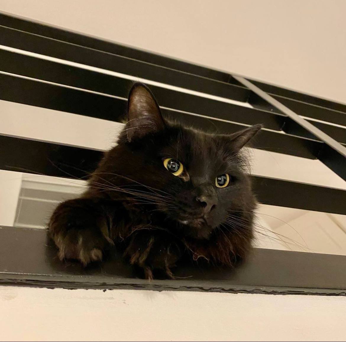 <a href="/Binance_intern/">Binance Intern</a> How did you find my photo🙀