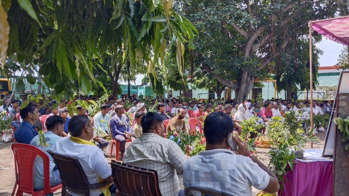 KhushhaliF's tweet photo. 🌱 #VrikshMitraGramMitra #9th_Plantation_Camp_2025

On 17 Aug 2025, #KhushhaliFoundation distributed 4000 fruit saplings free to farmers at Maa Raghuveeri Devi Inter College, Mathura.

383 farmers received 10 quality plants each. Together, we grow greener! 🌳💚

#plantation https://t.co/W4EP4ujERK