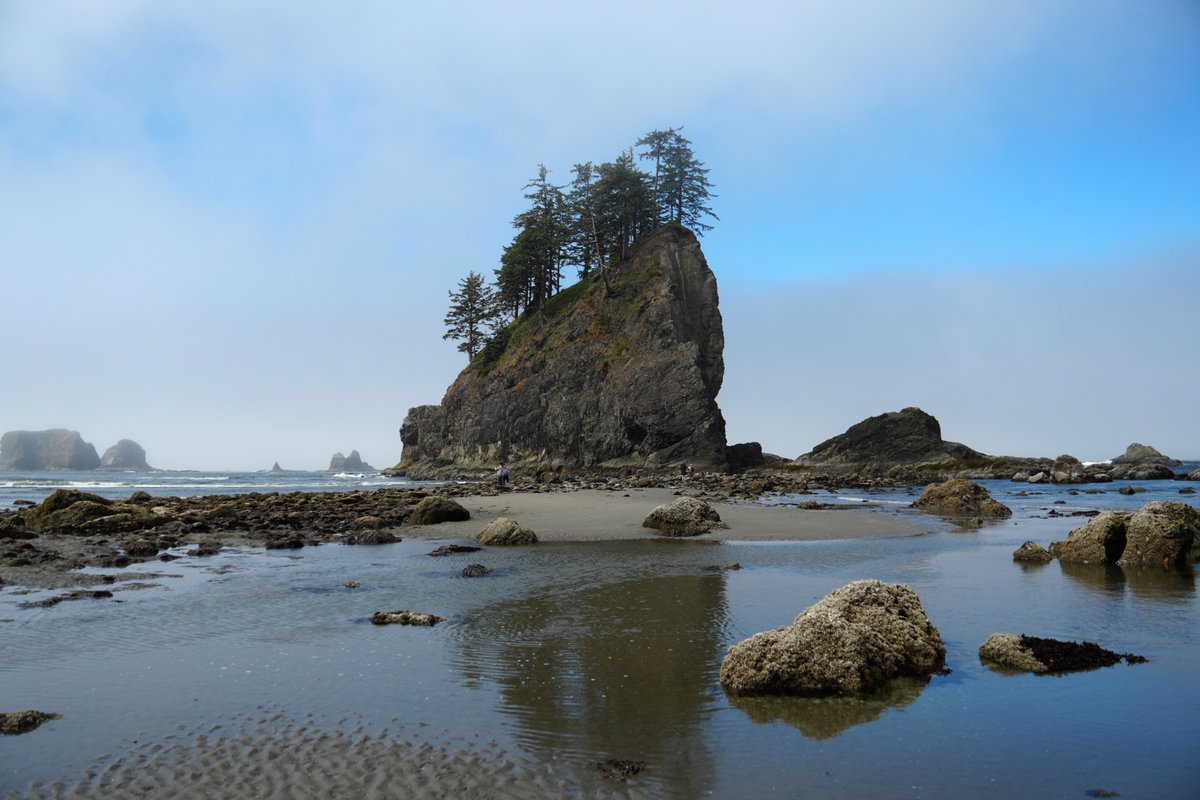 TruhlarA's tweet photo. Second Beach v Národním parku Olympic se nachází poblíž malé indiánské osady La Push. Místní obyvatelé kmene Quileute si stále udržují svoje tradice, jazyk a zvyky. Ve filmové sérii #Twilight byli fiktivně zobrazováni jako vlkodlaci.

#secondbeach #lapush #washingtonbeaches #pacificnorthwest #visitusa #olympicnationalpark

📍 La Push, @OlympicNP, Washington, USA | červenec 2025
📷 @TruhlarA & D. Truhlářová