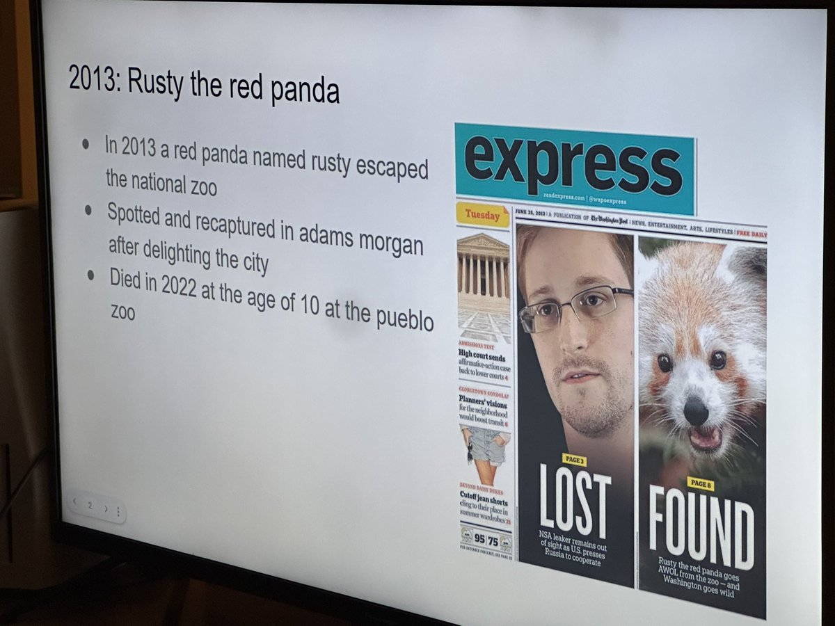 My friend hosted as a party last night about all the funny/cool/interesting/niche things we love about DC and I did a presentation on DC’s escaped and/or rabid animals of the last 10 years dressed as Stumpy (RIP)