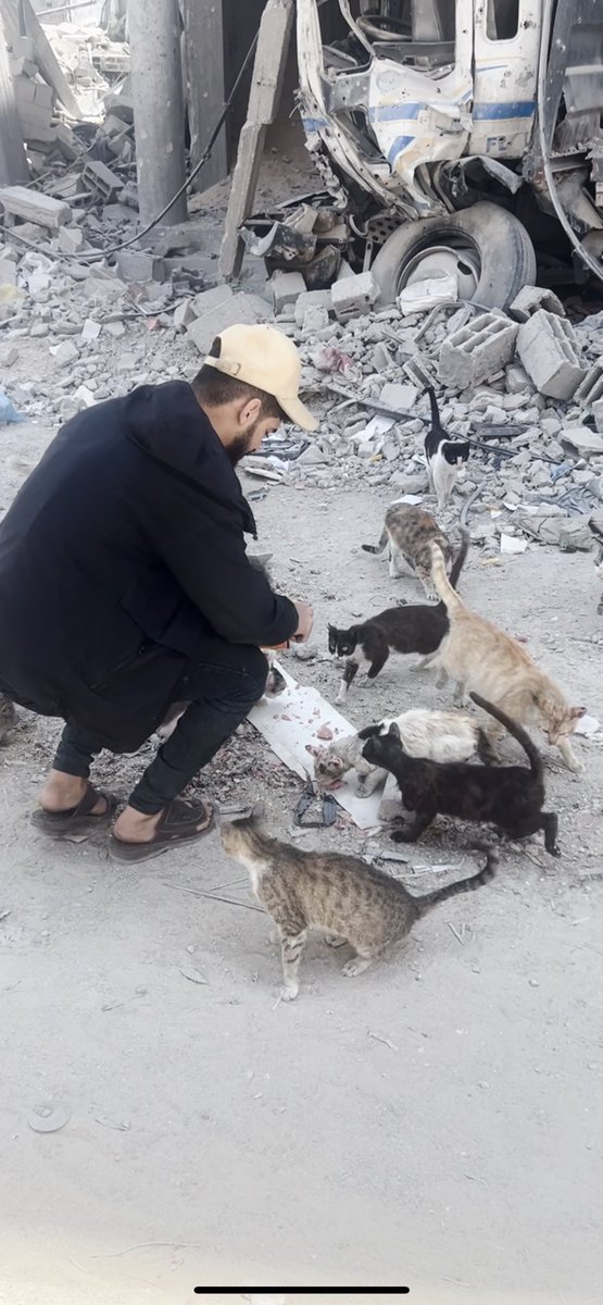We are still alive 🐾🇵🇸🙏
Remember our faces well, we may be next...
We are not numbers!💔
#Gaza