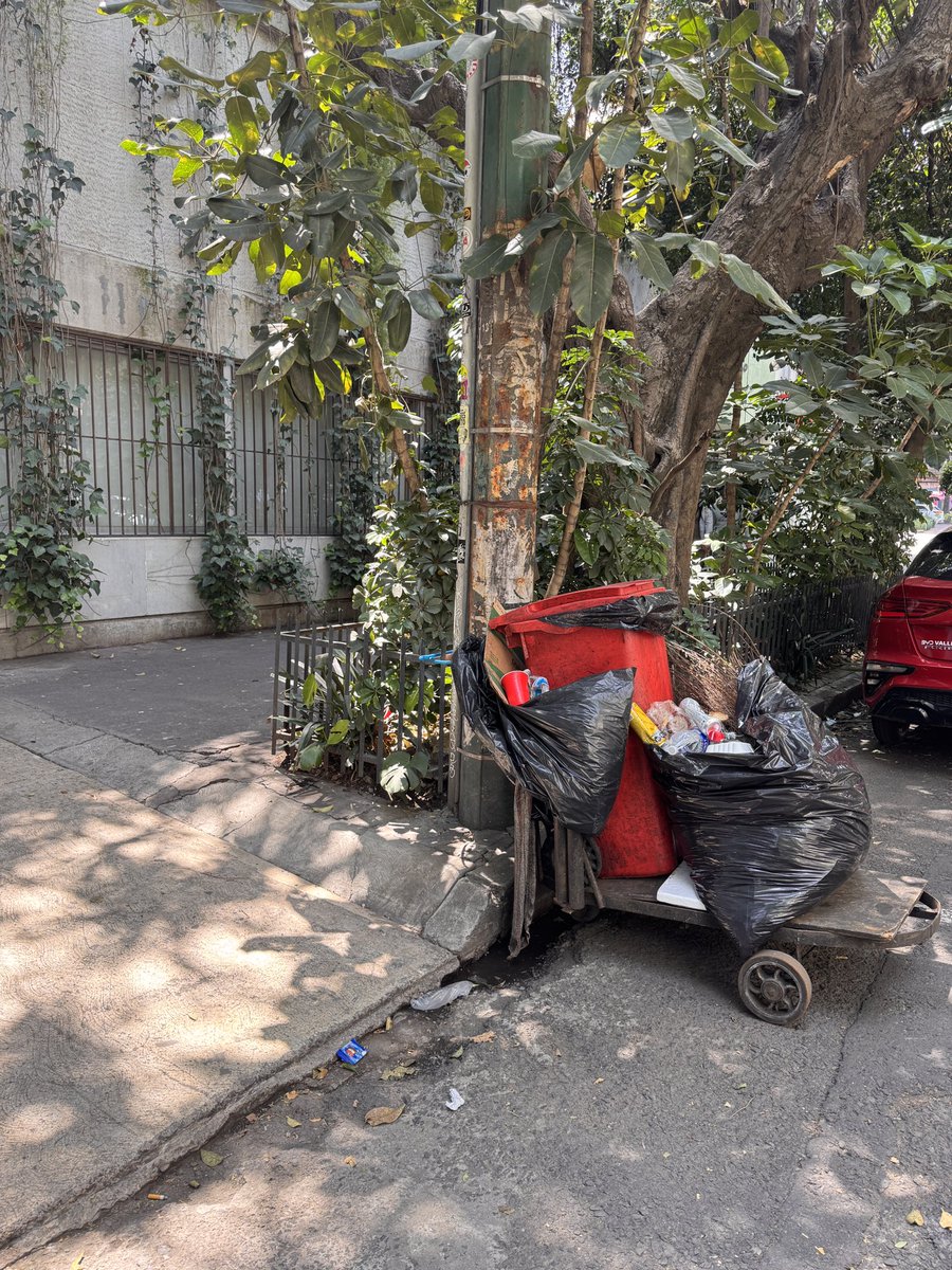 lolarerom tweet media