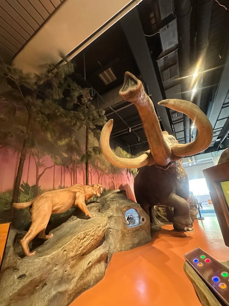 Zarakdac's tweet photo. Imagine the world millions of years ago! With lifelike models of ancient giants like the mammoth and ankylosaurus, this exhibit brings history to life in the coolest way possible. 🌍✨ https://t.co/54AzAMBt3N