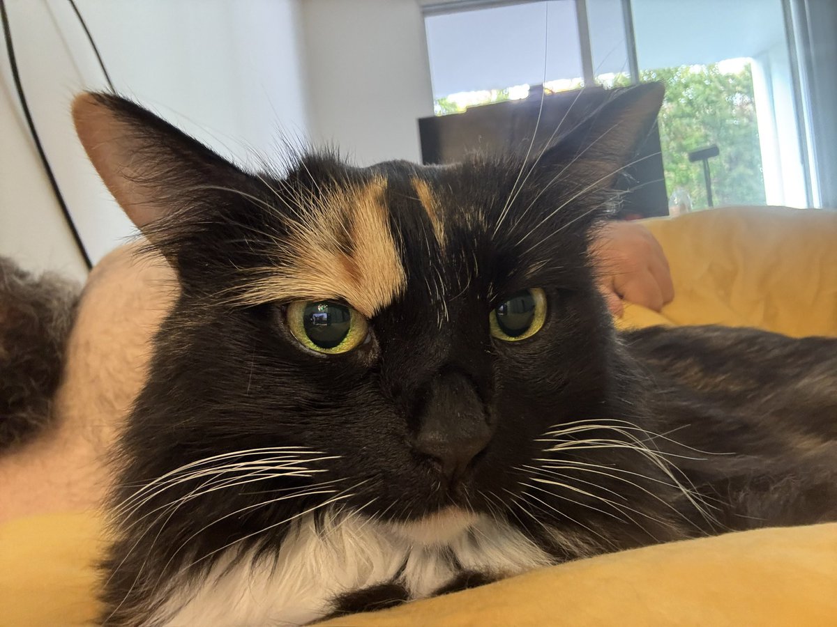 Лечит лежит)