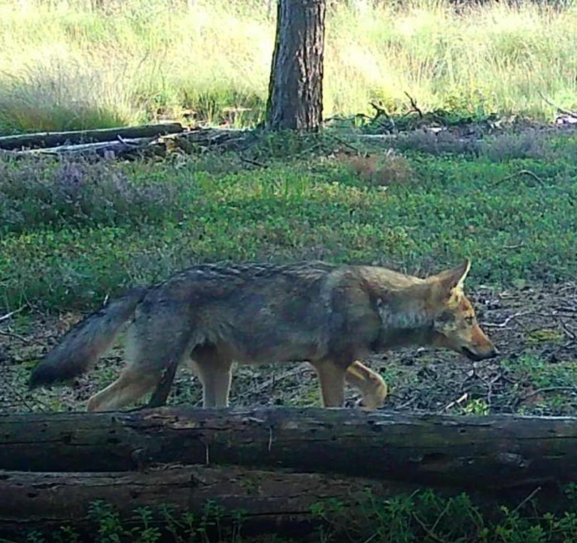 Egbert Post tweet media