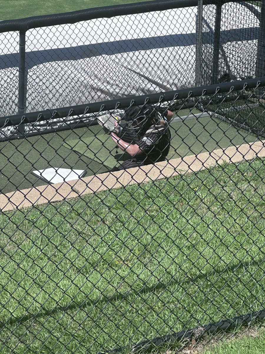 Bombers Gold National tweet media