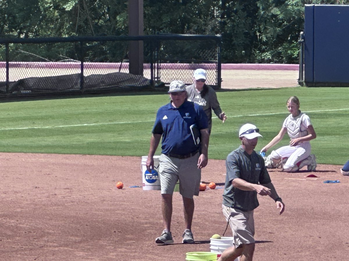 Bombers Gold National tweet media