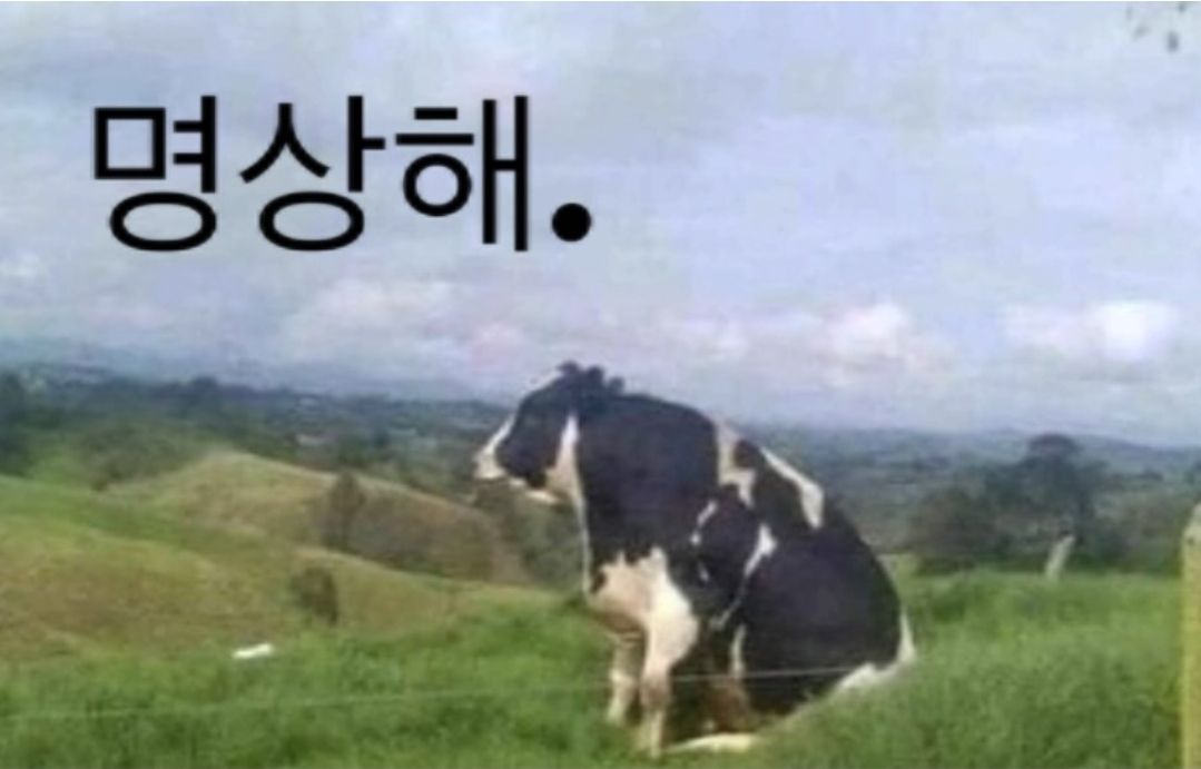 berri/深紅蘭 tweet media