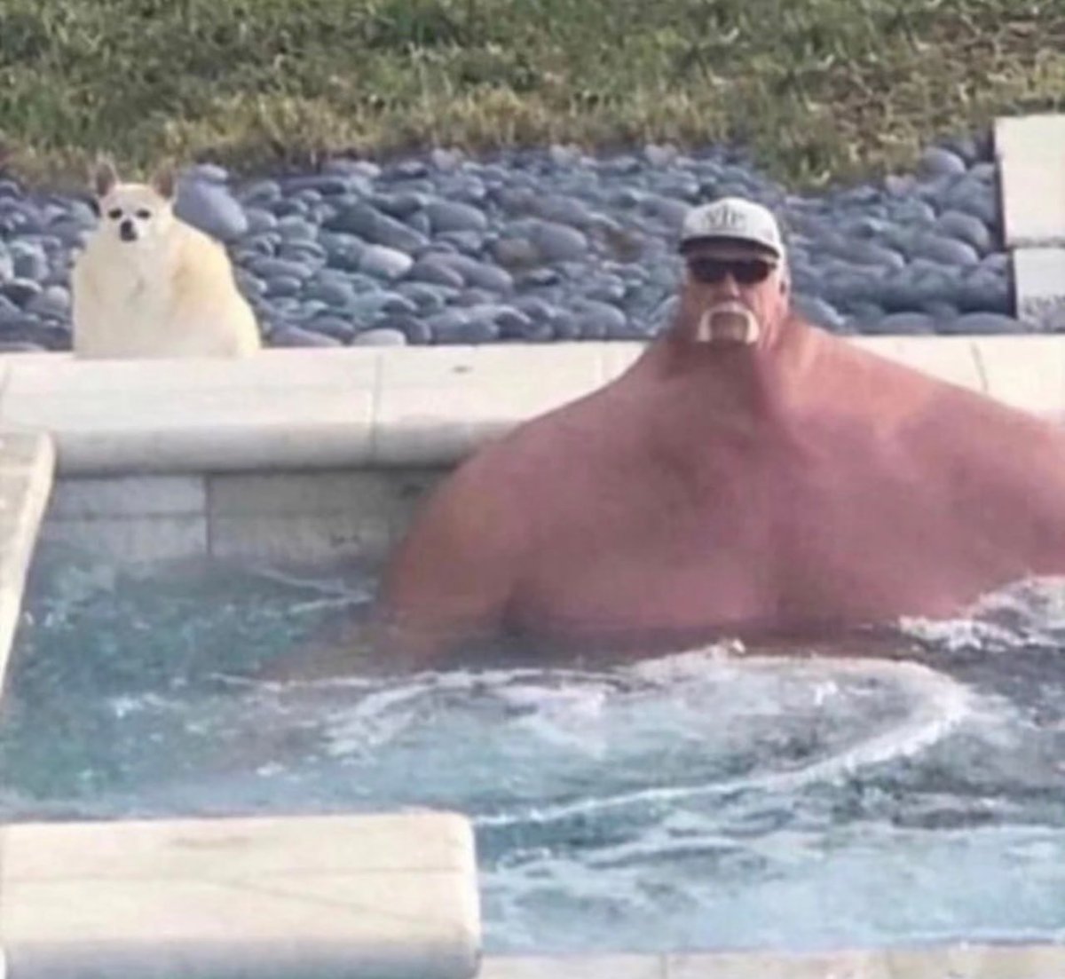 gm to everyone checking tweetScout score daily
it goes up