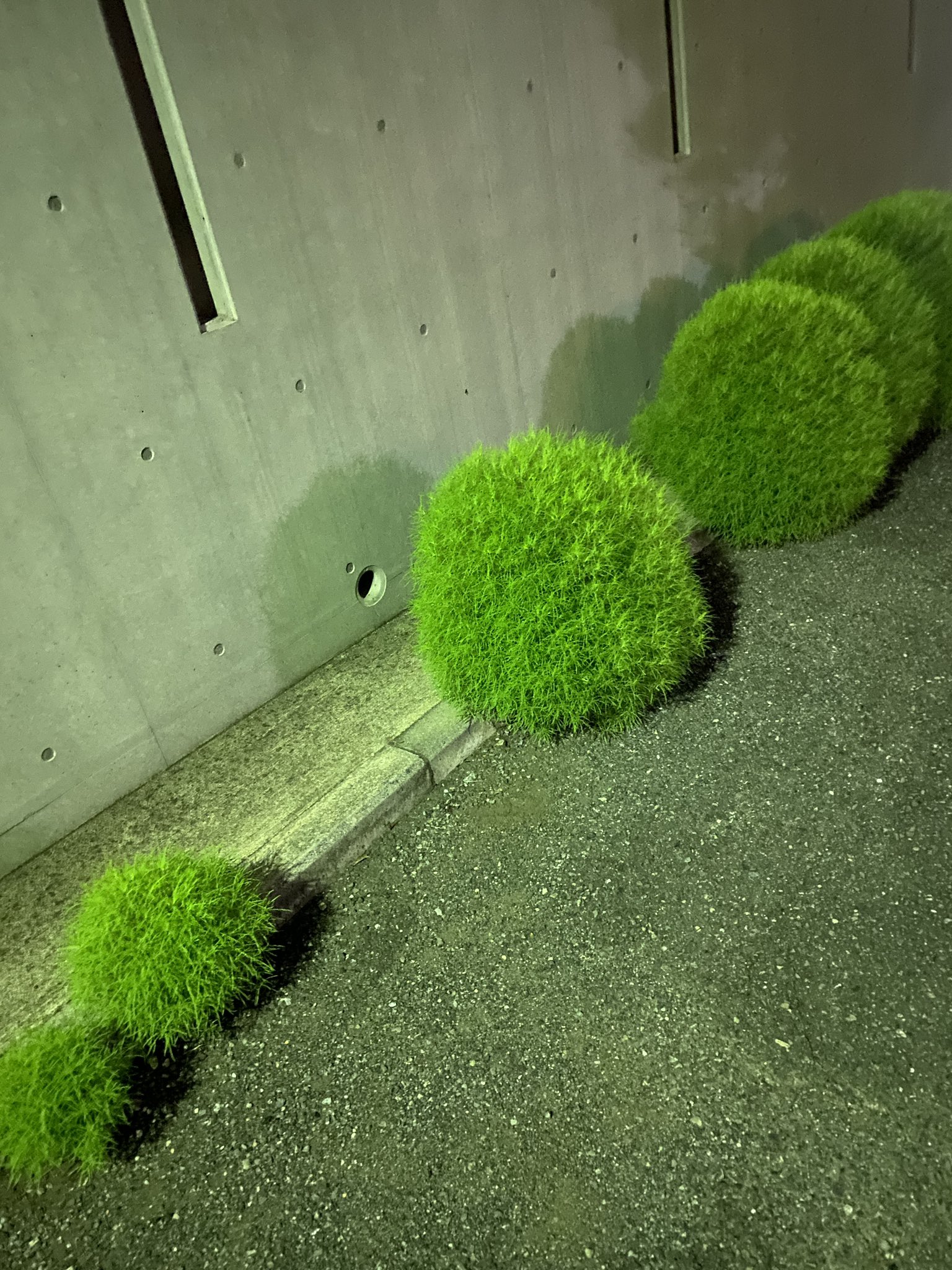 みうページ みゅうページ ミユ 様 Amazon.co.jp: Zex Zx Character