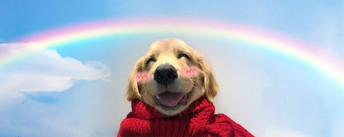 GlowStackWizard's tweet image. $wuf
cLJnw511DGqiHuUncmqHcArifcPADEpYLkxrxPHpump

As a girl, I really can't say no to these animal memes, they are so cute! Hope more animal memes appear!

wufwufwufwufwufwufwufwufwufwufwufwufwufwufwufwufwufwufwufwufwuf~~~