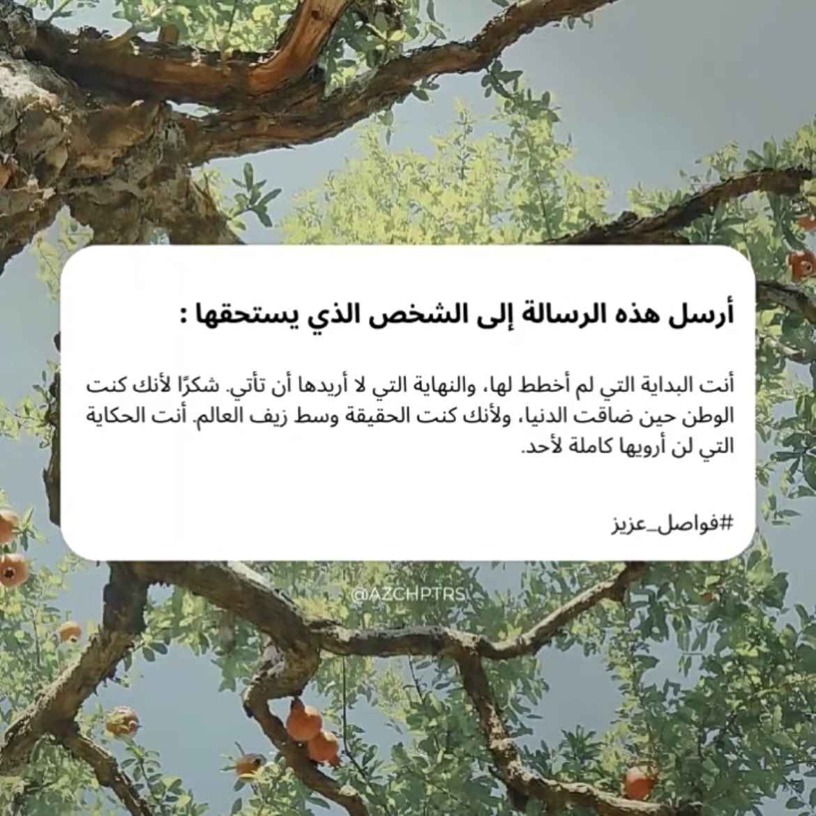Mariiam_rashed's tweet image. 