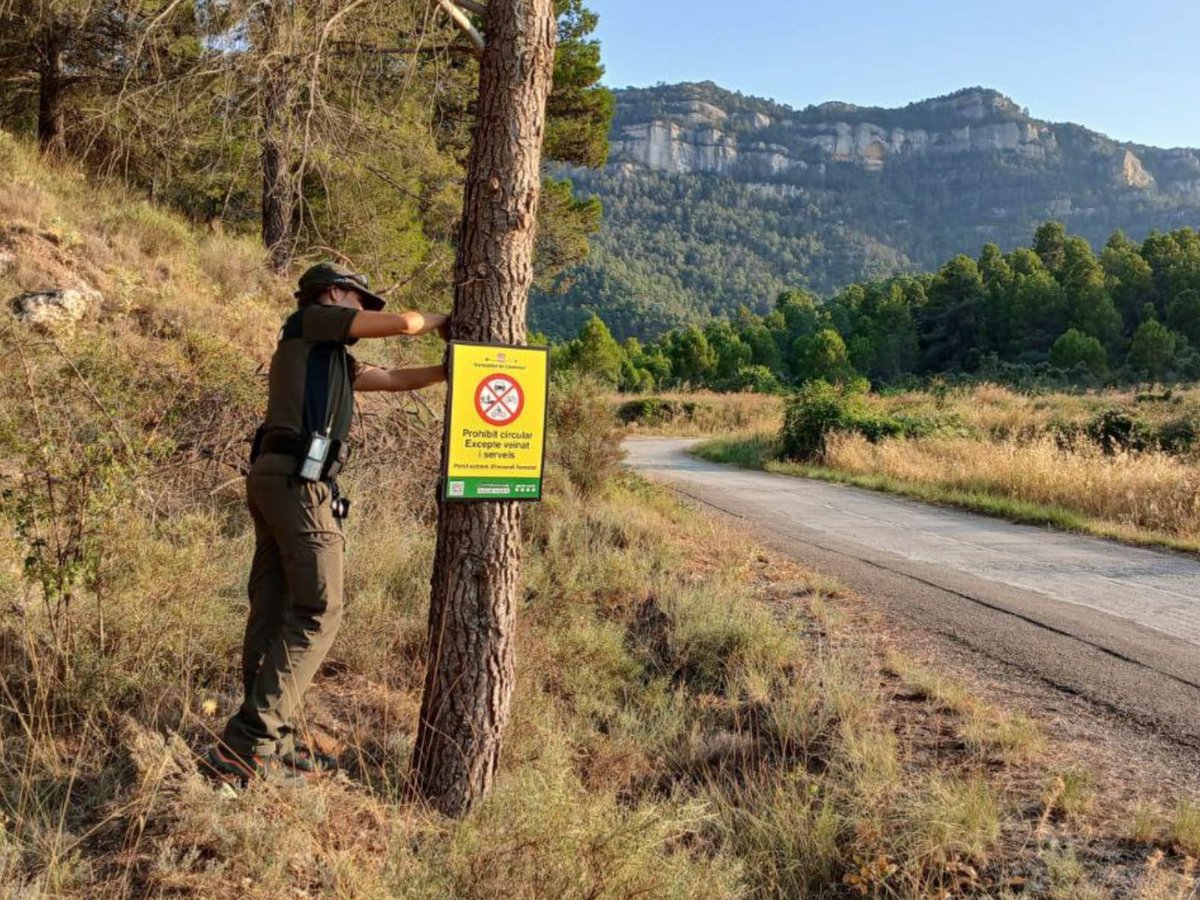 Protecció civil tweet media
