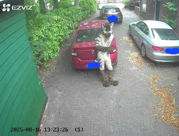 should I let him in? He seems friendly 🤔