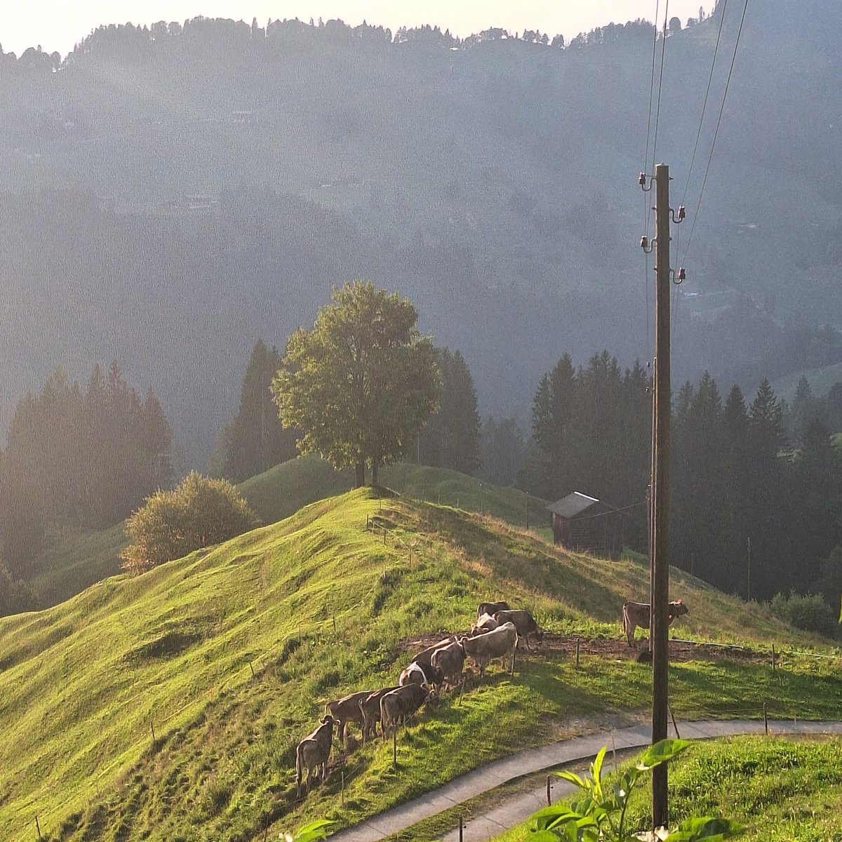 Abendsammlung #Graubünden