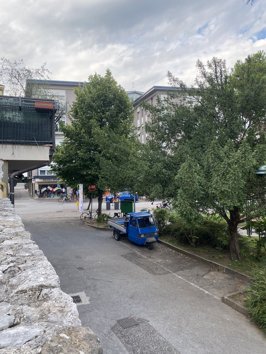 Sonia Zuccaro tweet media