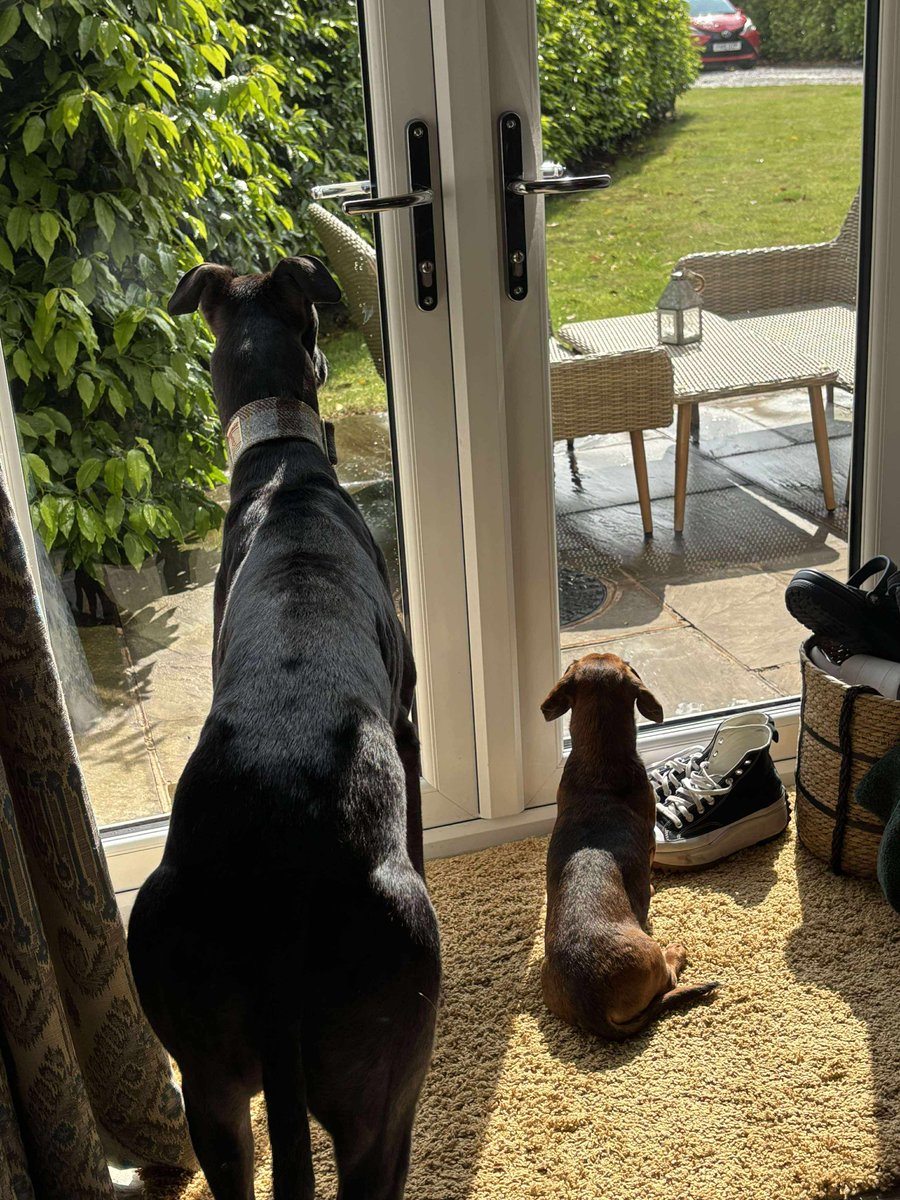 ✨️SNOOPY UPDATE✨️

We were delighted to recieve an update on how Snoopy has been doing!
Snoopy enjoys exploring, camping and going to the beach with his family! 🏕
Snoopy has also also braved the train with his therapy dog training vest!! Doesn't he just look so smart 🥰