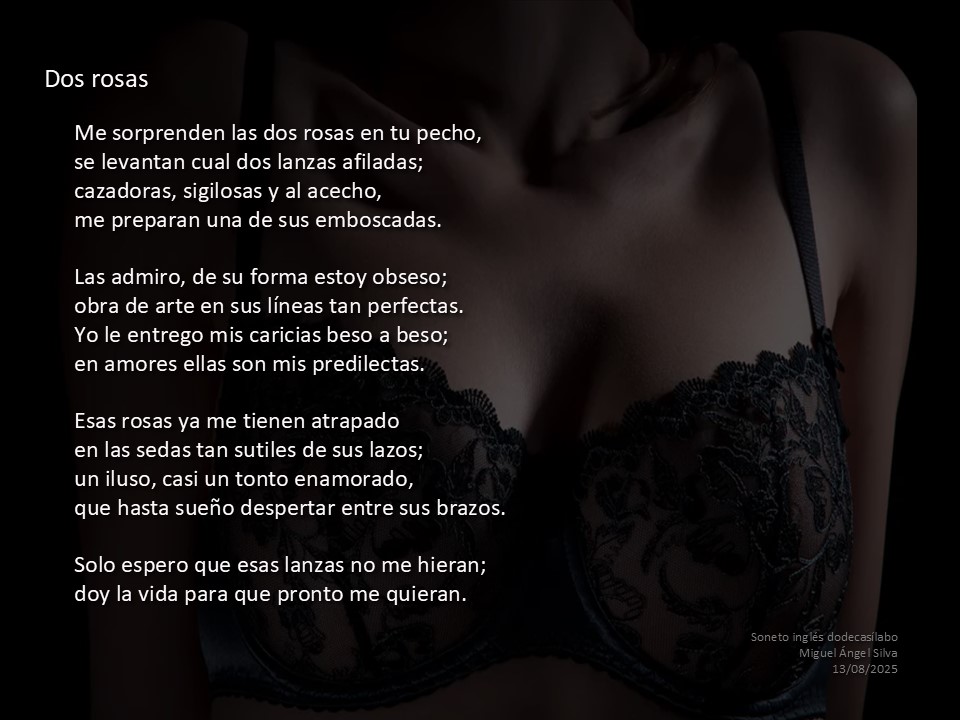 MASilva's tweet image. Dos rosas...