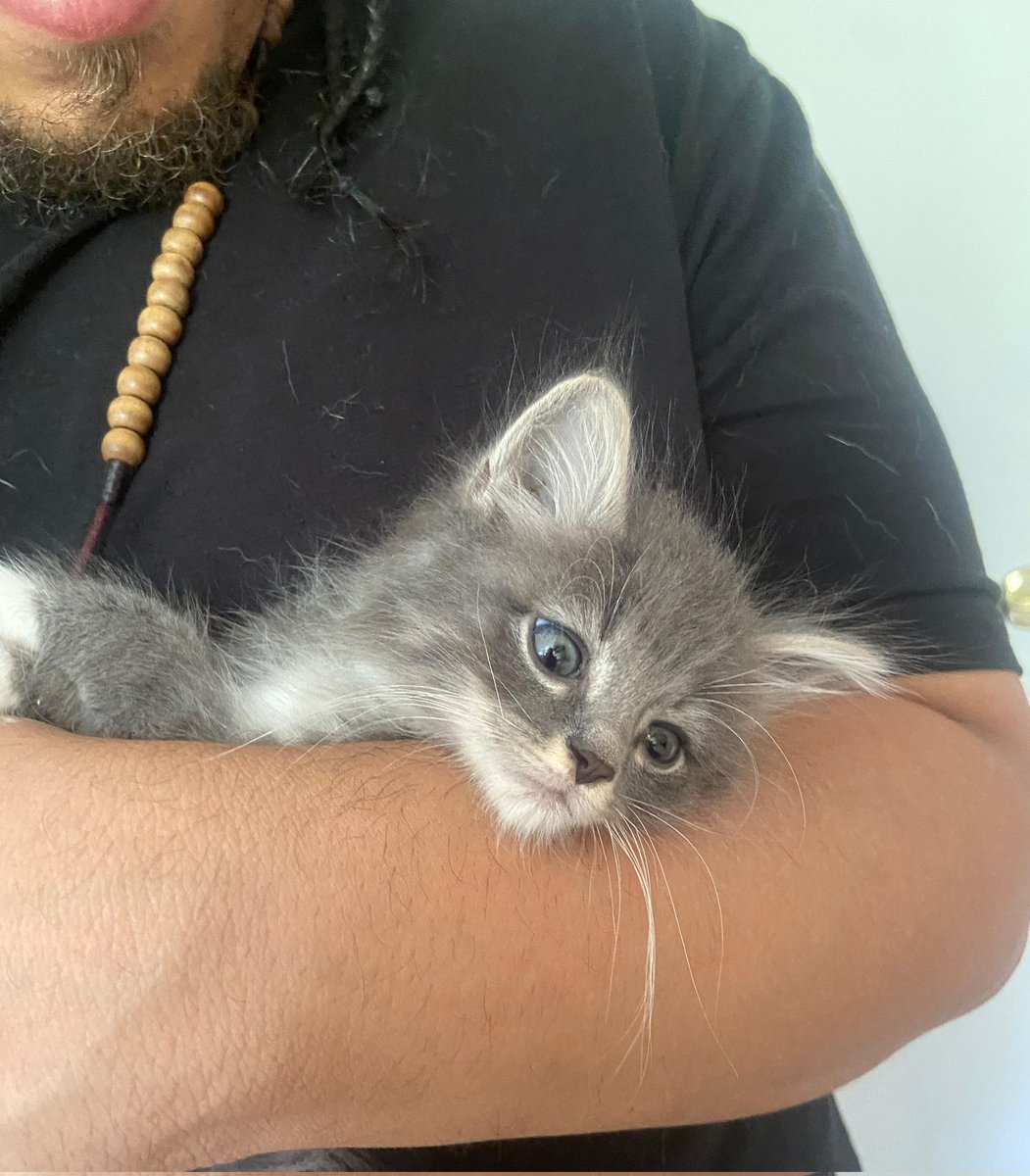 I want yall to meet my son Kyle!

🥹🥹🥹🥹🥹🥹🥹🥹🥹🥹