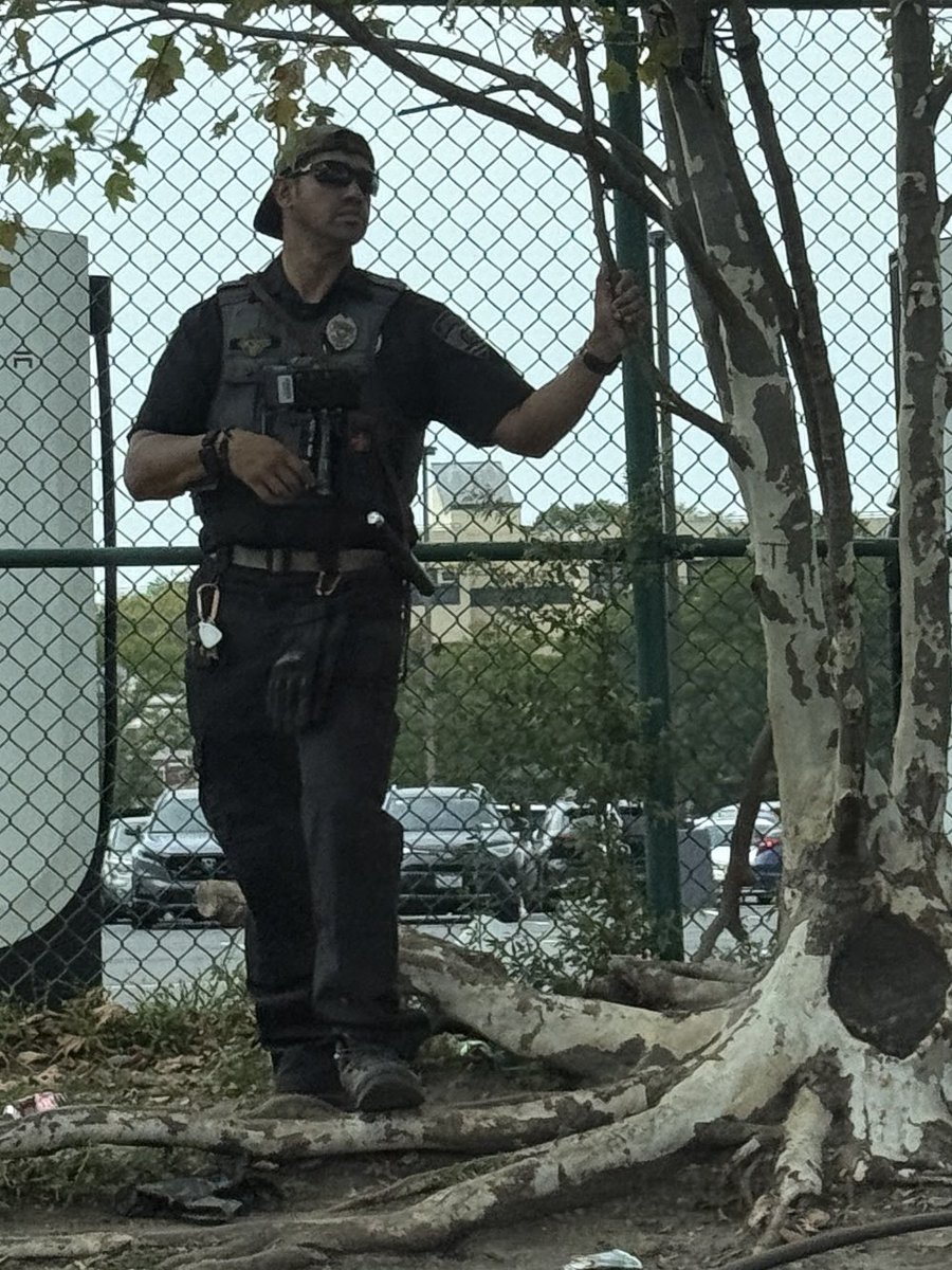 Look what I found lurking in the bushes at the Home Depot on Gun Hill Rd. It’s really a shame this is what we’re reduced to nowadays. Our immigrant communities must be protected. <a href="/jamaaltbailey/">Jamaal T. Bailey</a> <a href="/KevinCRiley/">Kevin C. Riley</a> <a href="/CarlHeastieNY/">NYAssemblySpeakerHeastie</a> <a href="/bronxbp/">Bronx Borough President Vanessa L. Gibson</a> @zohrankmamdani