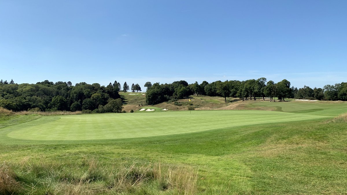 Tandridge looking fabulous in the summer sun this morning - recovering brilliantly from the recent maintenance week