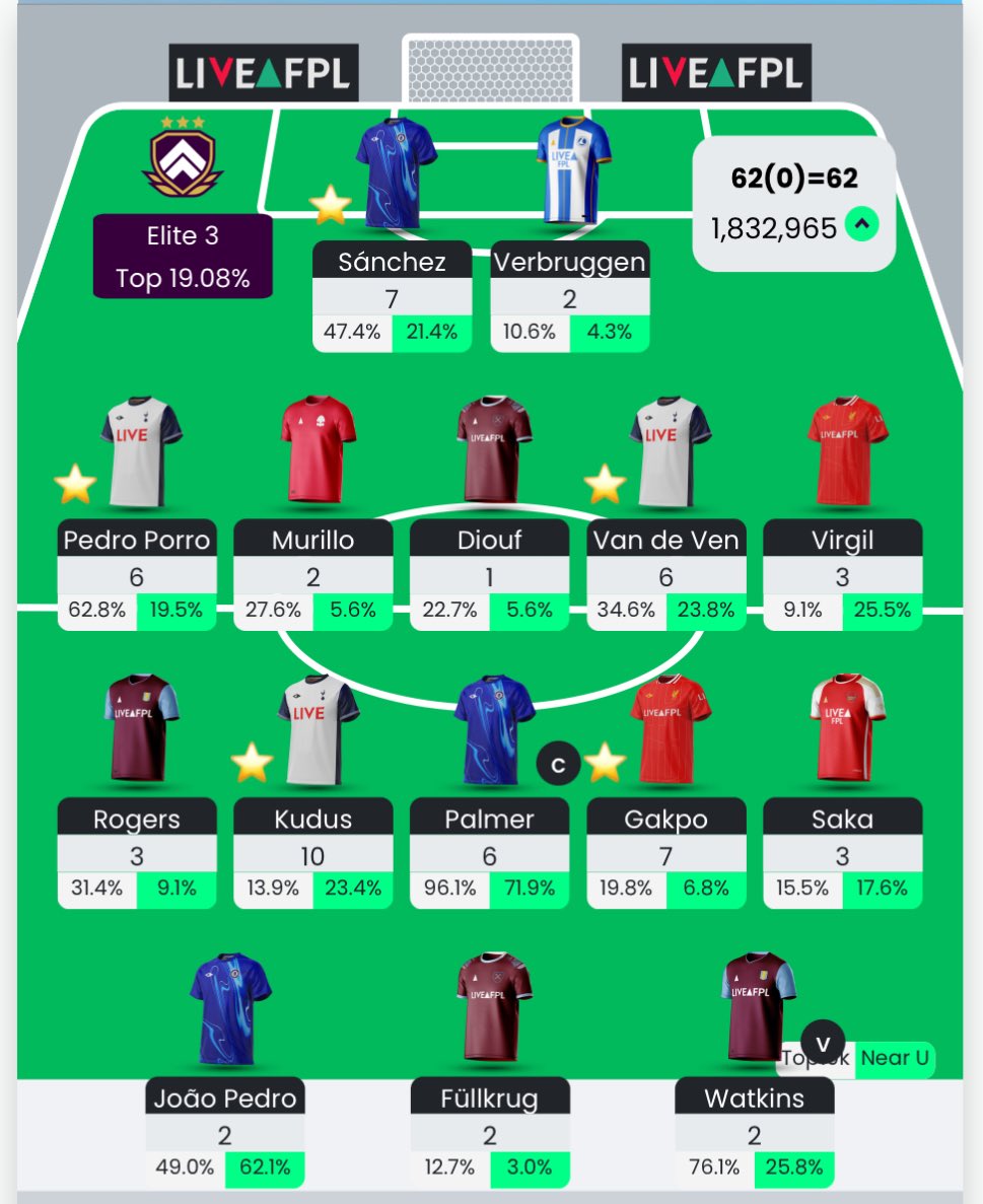 FPL Pigeon (Tommy) tweet media