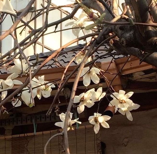 joybug666's tweet image. 𐙚₊˚⊹♡ jo's edtwt ...        
   (not new, just getting back on track)
         
       18  bulimia ，
            54.9 kg , 157cm ,      
       netflix , reading , youtube
            dni 15 &amp;amp; under
           
     ♡ / ↻ to  be  moots (pls i need
            friends) .ᐟ