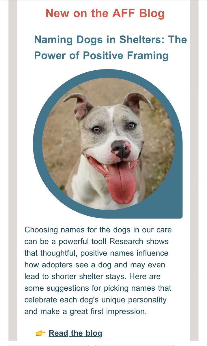 FollowTTours's tweet photo. .I love this post from the @AnimalFarmFndtn #AnimalFarmFoundation concerning the importance of thoughtfully naming shelter animals and how a name can influence how an animal is viewed by potential adopters. 

Sometimes I see names, especially from shelters, and they seem careless and almost reckless, as if they’re trying to make it harder for an animal to be adopted. Please consider reading this well thought out and  informative article. 

Think about it. The animal Name is their Brand to anyone that comes to visit him/her for a potential adoption. Would you buy a food product named, Toxic Waste? 

I have always believed animals deserve people names. When you name an animal after an object a thing like, Potato, that name conveys the message that the animal is a “thing” not an a sentient being. In this case, an edible thing 🤔

Would you be careless naming your child? It’s really the same. 

#Dogs #cats #shelters #adoption
#Animals 

https://t.co/TxyT3J7ywe