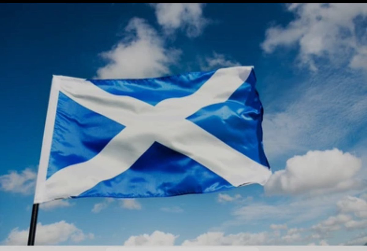 Nevis Vida tweet media