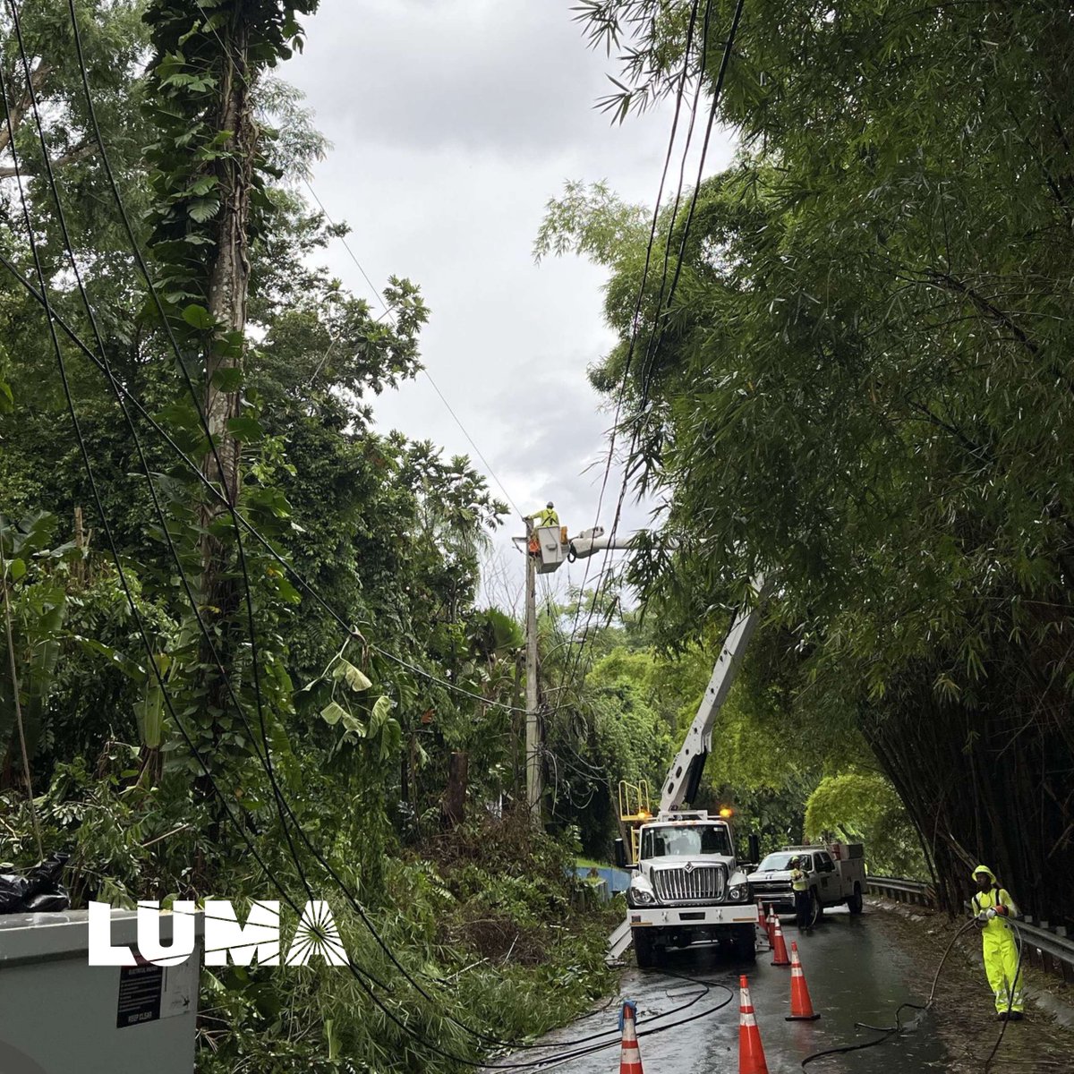 lumaenergypr's tweet photo. En la Carr. 829, Sector Sabana – Buena Vista, Bayamón, un árbol cayó sobre el tendido eléctrico, partiendo las tres fases primarias por efectos asociadas al huracán Erin.

Nuestras brigadas están movilizadas atendiendo la situación y comenzar labores de reparación.

Por tu seguridad, no te acerques a cables caídos ni intentes remover árboles cerca de líneas eléctricas. LUMA trabaja con prioridad para restaurar el servicio de forma segura.