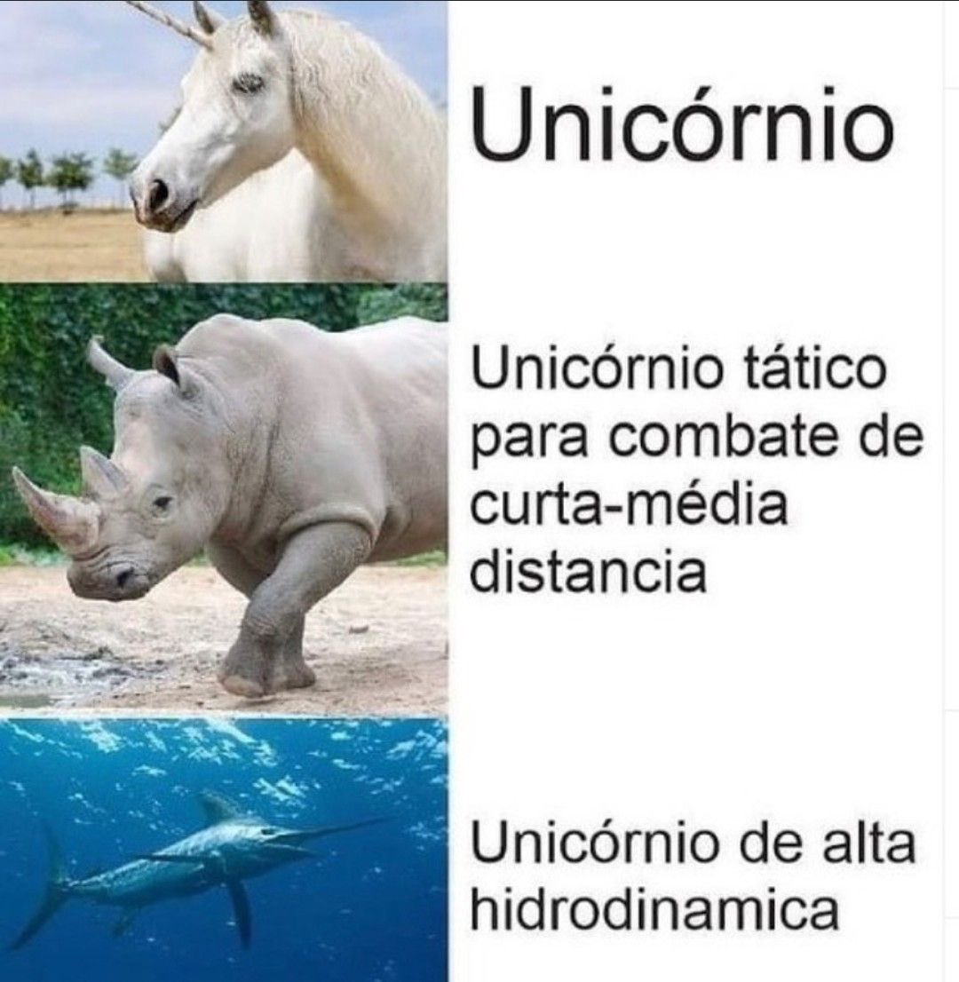 Biologia Braba tweet media