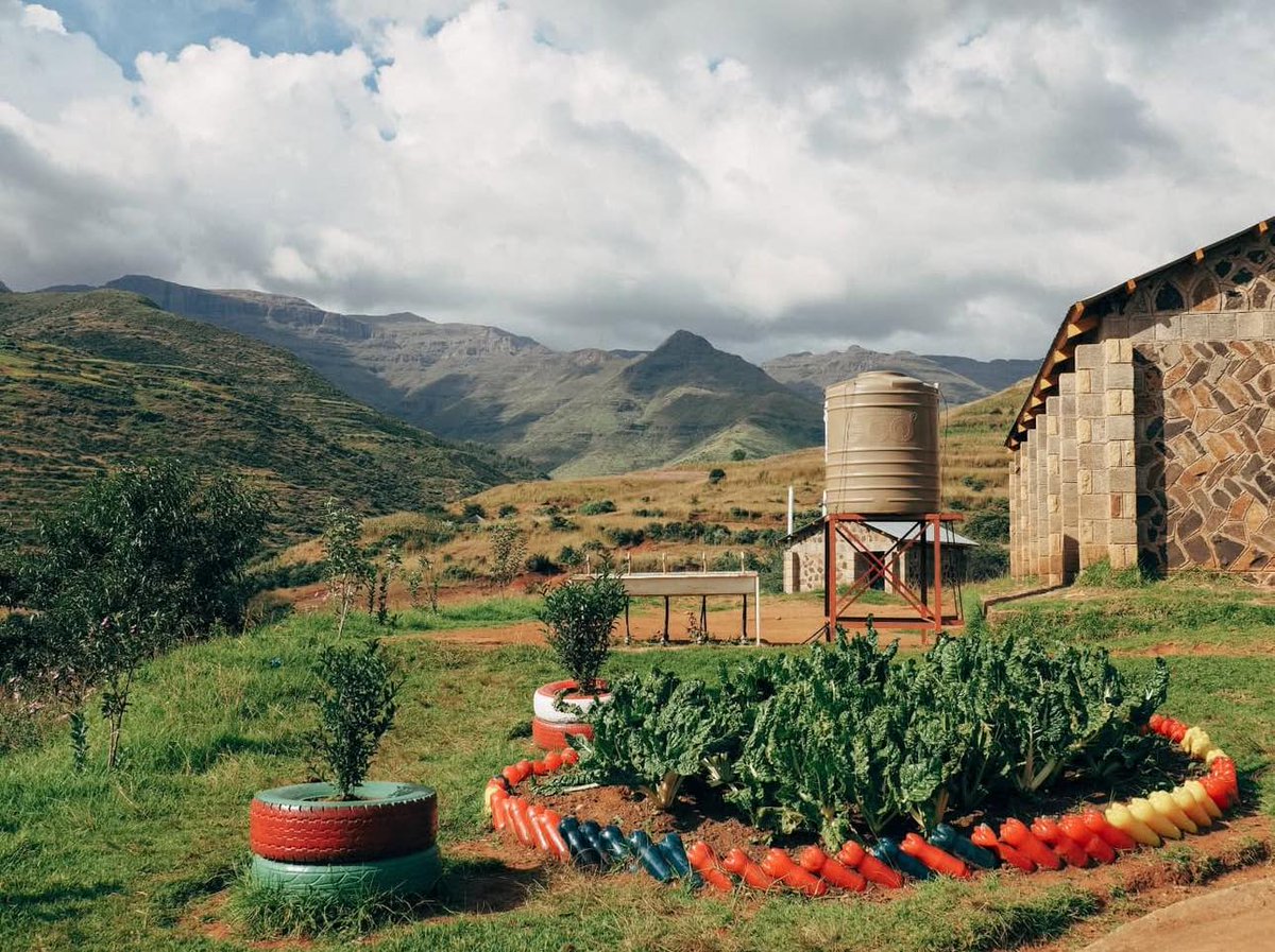 Peace Corps tweet media