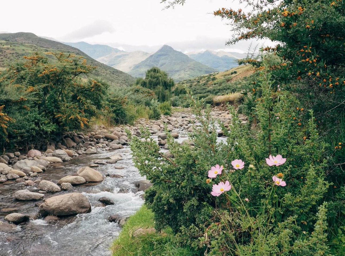 Peace Corps tweet media