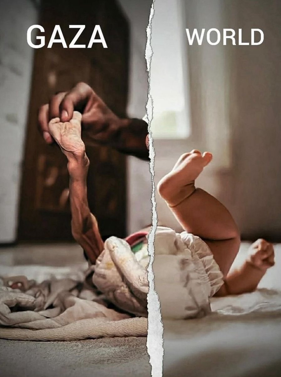 Sulaiman Ahmed (@shaykhsulaiman) on Twitter photo 