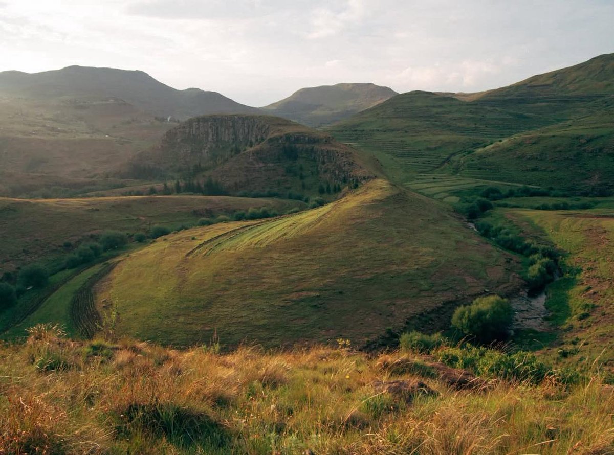 Peace Corps tweet media