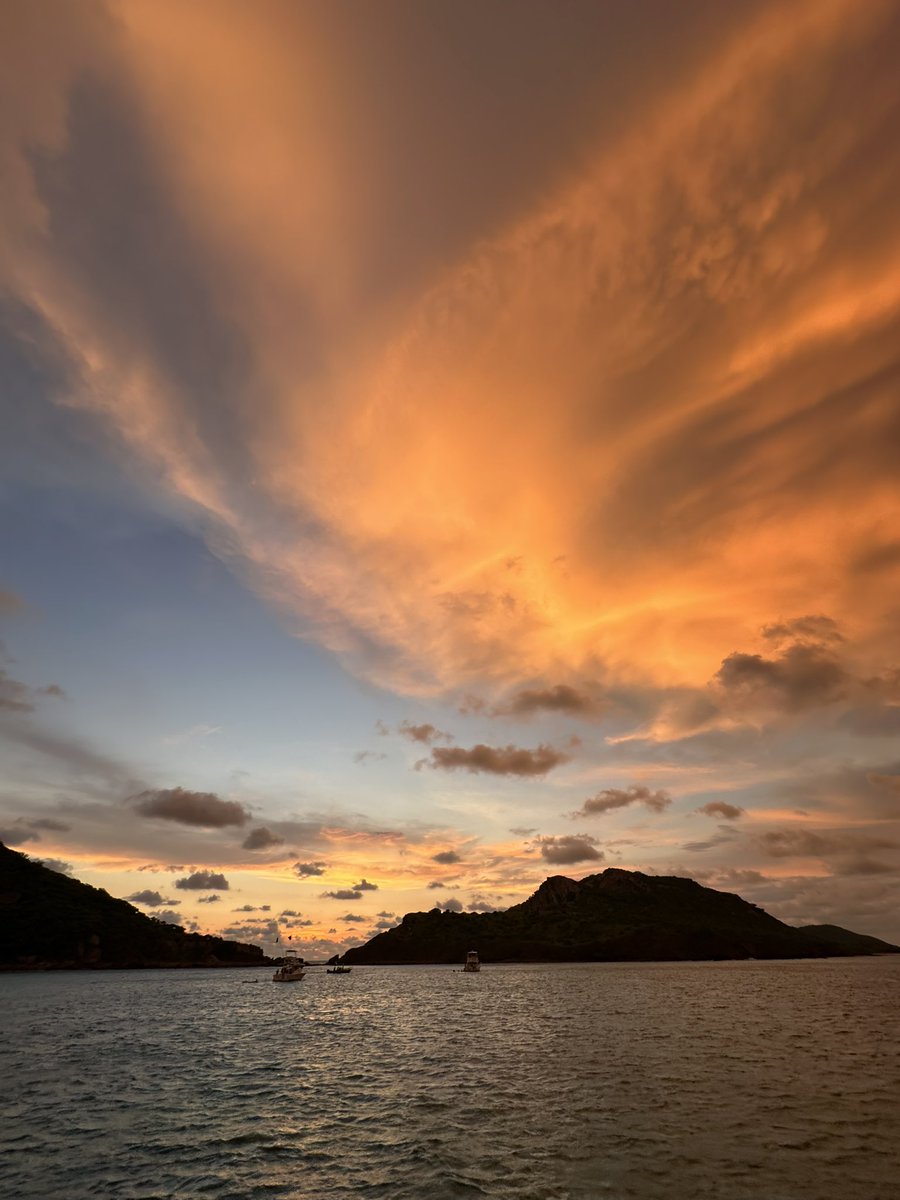 ddominguezdiaz's tweet photo. Mazatlán, Sinaloa
16/08/25 💘 https://t.co/Q6QfA4EaaO