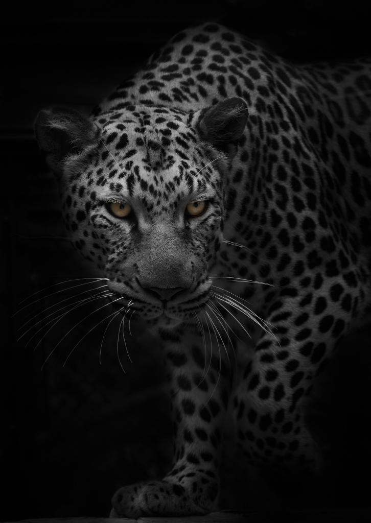 Добраніч! 🎵🎶🦋🌺🌛✨🌠🌙🙏😽