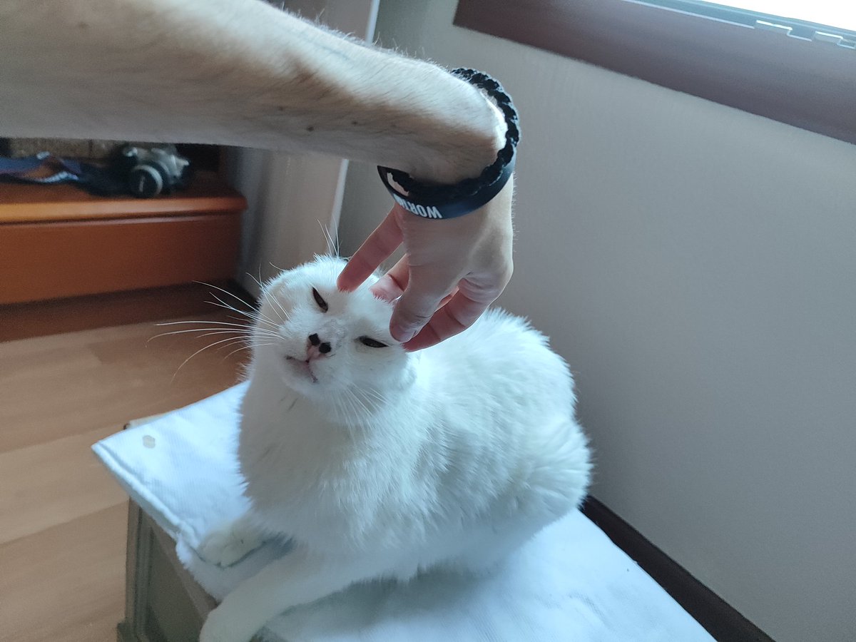 Rubaso 🗿 tweet media