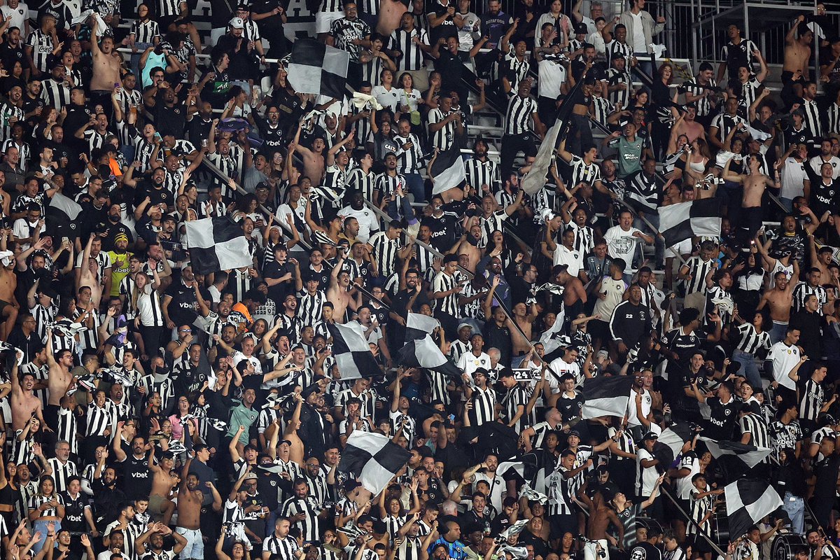 Pedro ★彡 tweet media