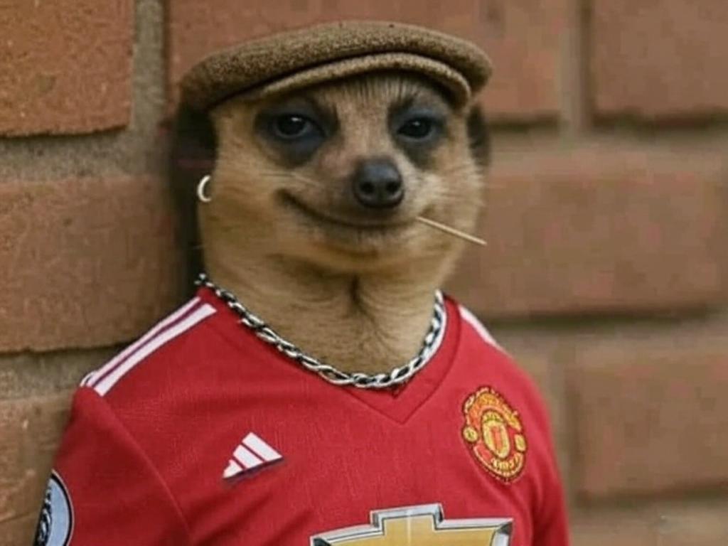 united_domain's tweet photo. The last time man united lost 0-1 on their opening fixture of the league, they went on to win the league and that was their last premier league title. #MUFCARS https://t.co/ibn64WrDPR